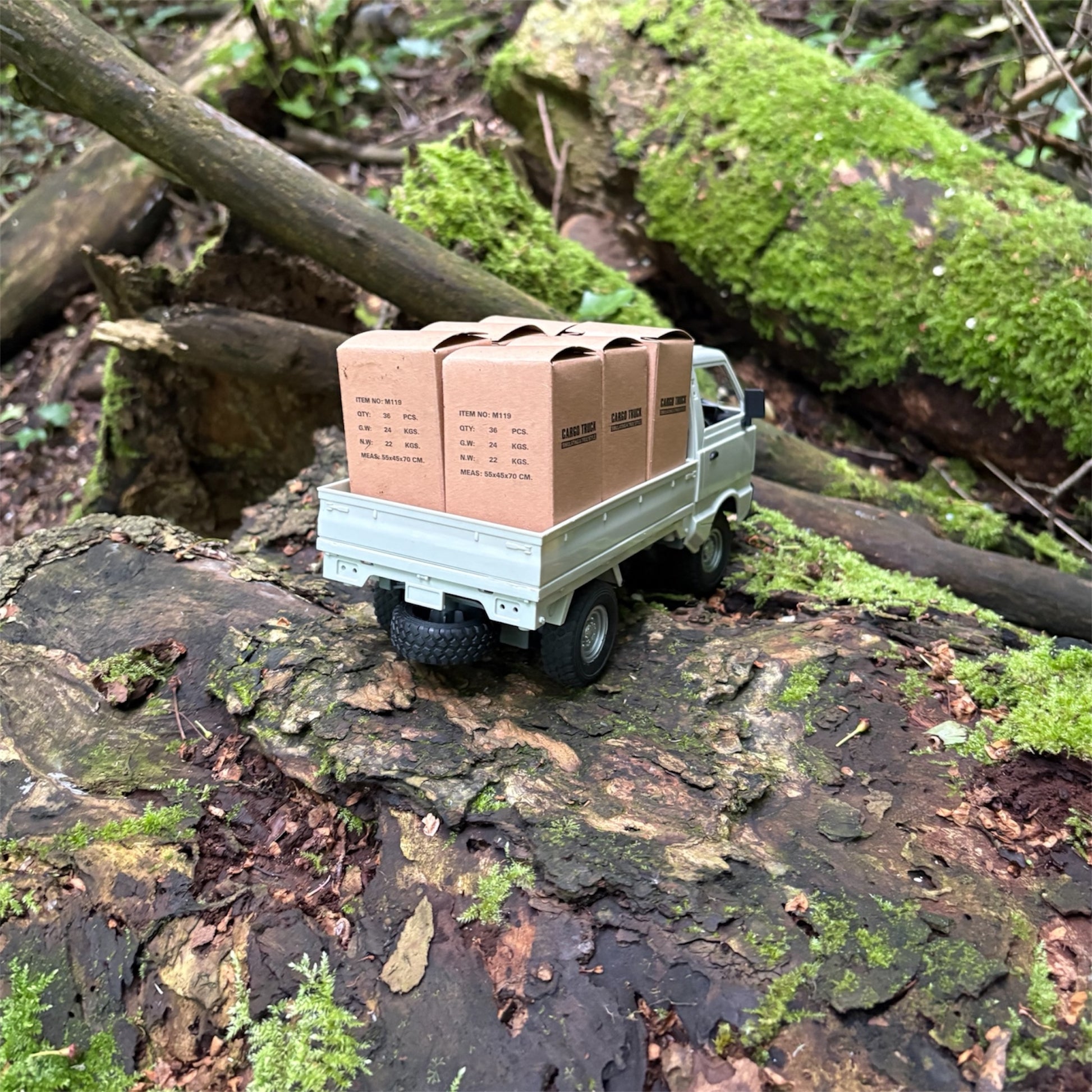 RC Kei truck white
