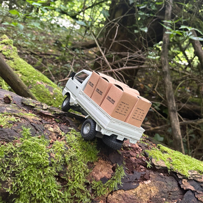 RC Kei truck white