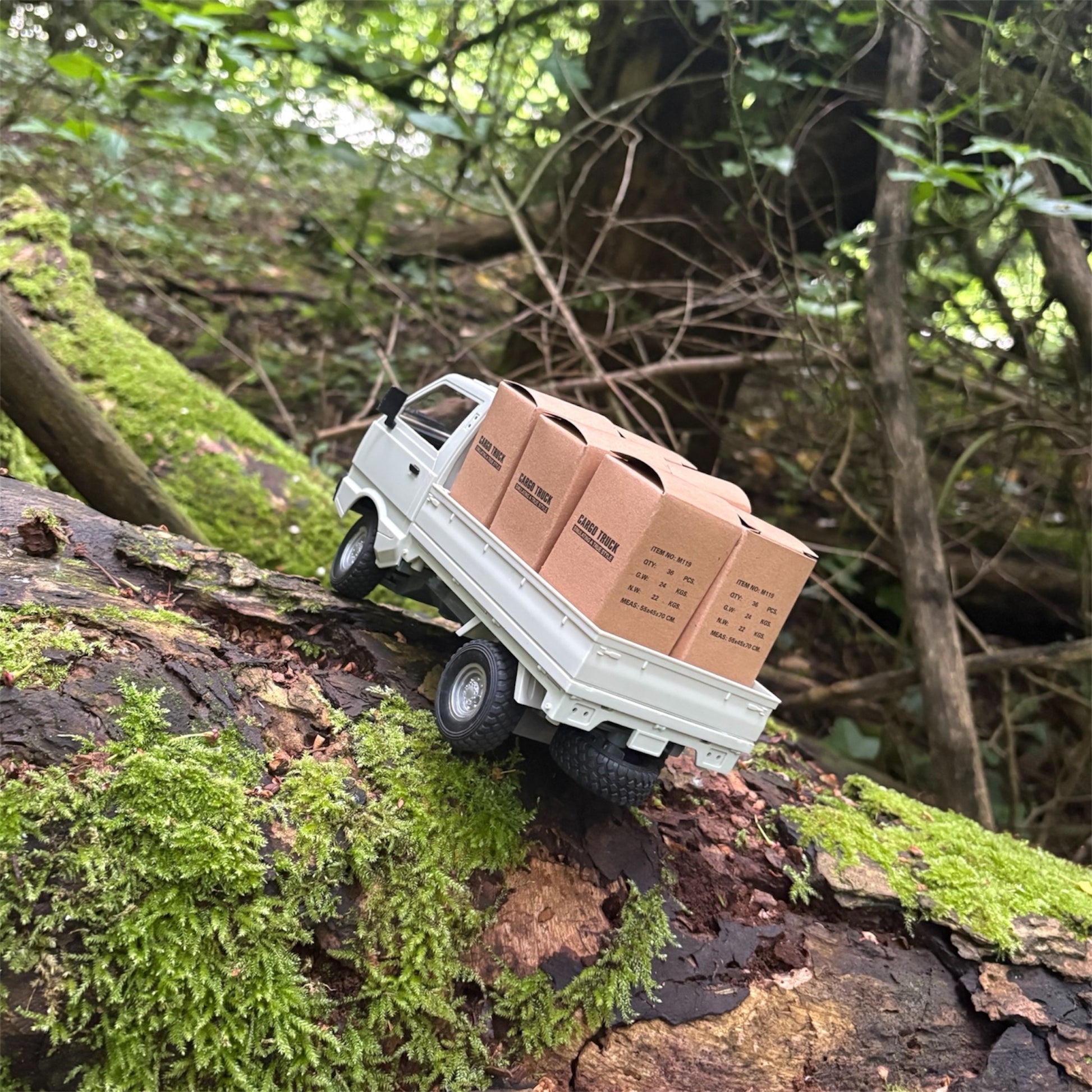 RC Kei truck white