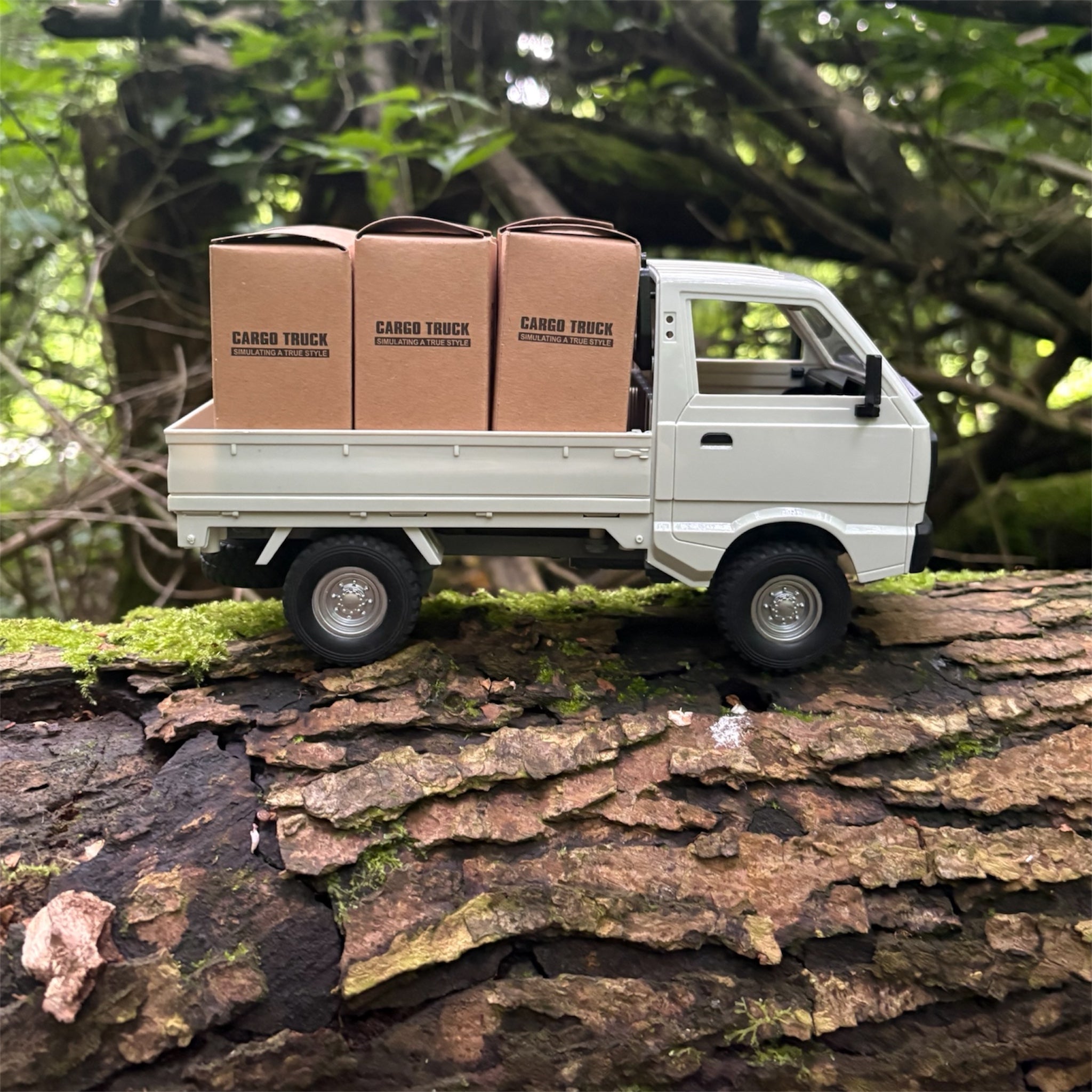 RC Kei truck white